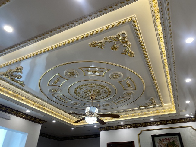 biệt thự tân cổ điển anh chị lý hằng - ảnh 4
