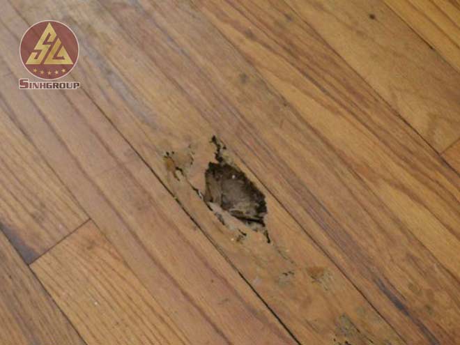 so sánh độ bền phào chỉ pu và phào chỉ gỗ