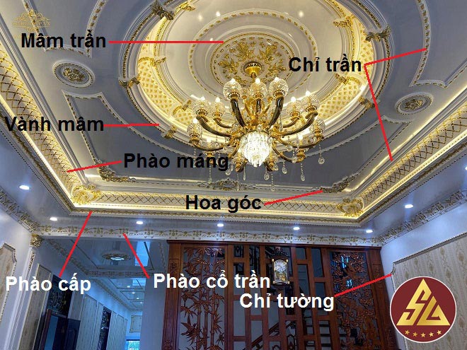 vị trí phào chỉ trang trí trần tân cổ điển