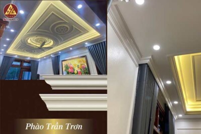 50+ Mẫu phào cổ trần trơn Pu được ưa chuộng nhất hiện nay
