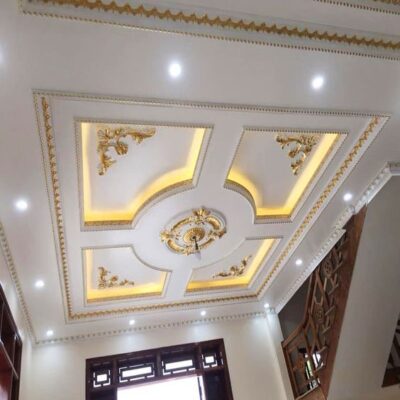 phao chỉ trần nhà pu